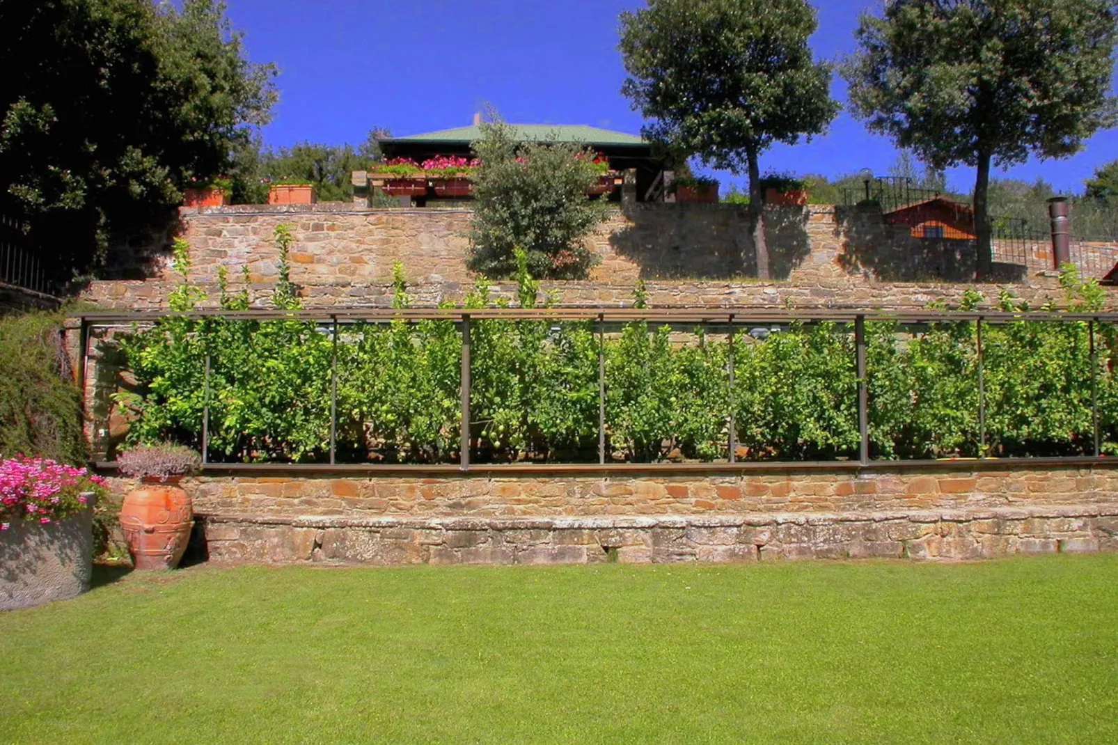 Leccio Lauro Quattro-Gardens summer