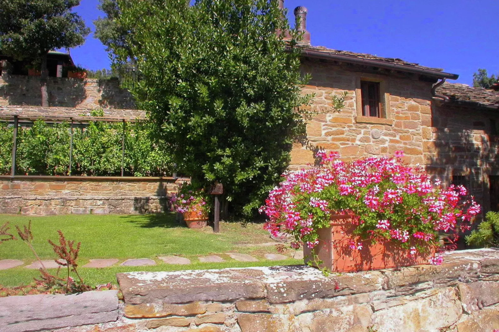 Leccio Lauro Quattro-Exterior summer
