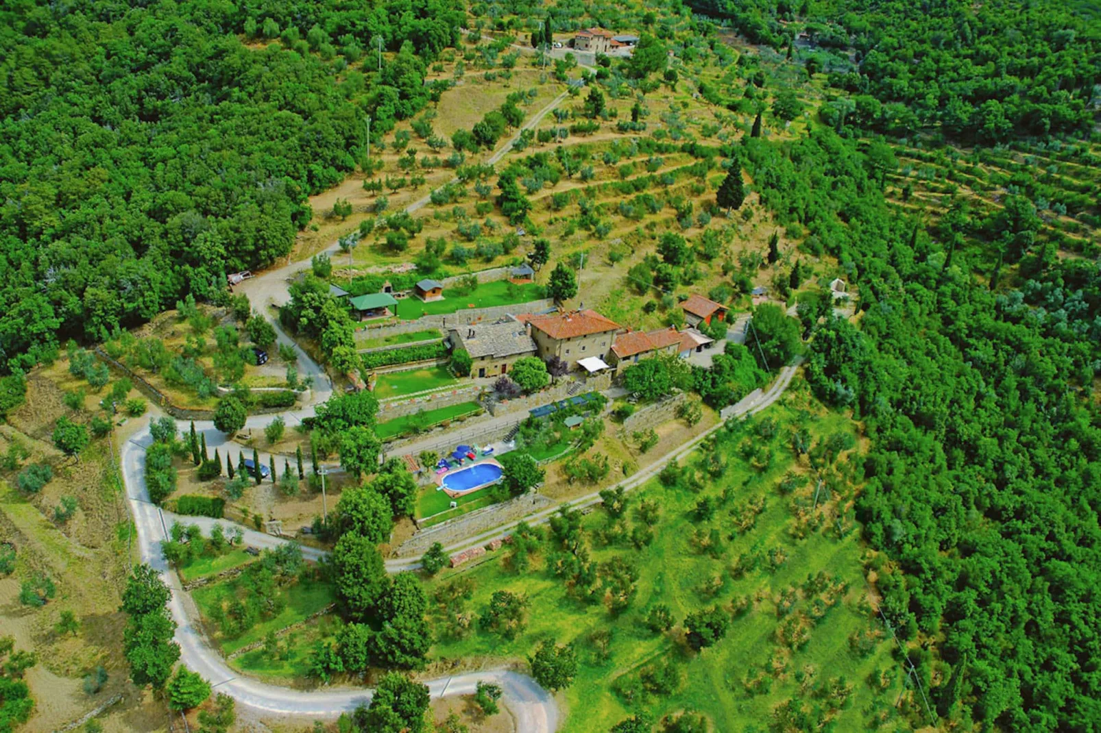 Leccio Cottage Ciliegio