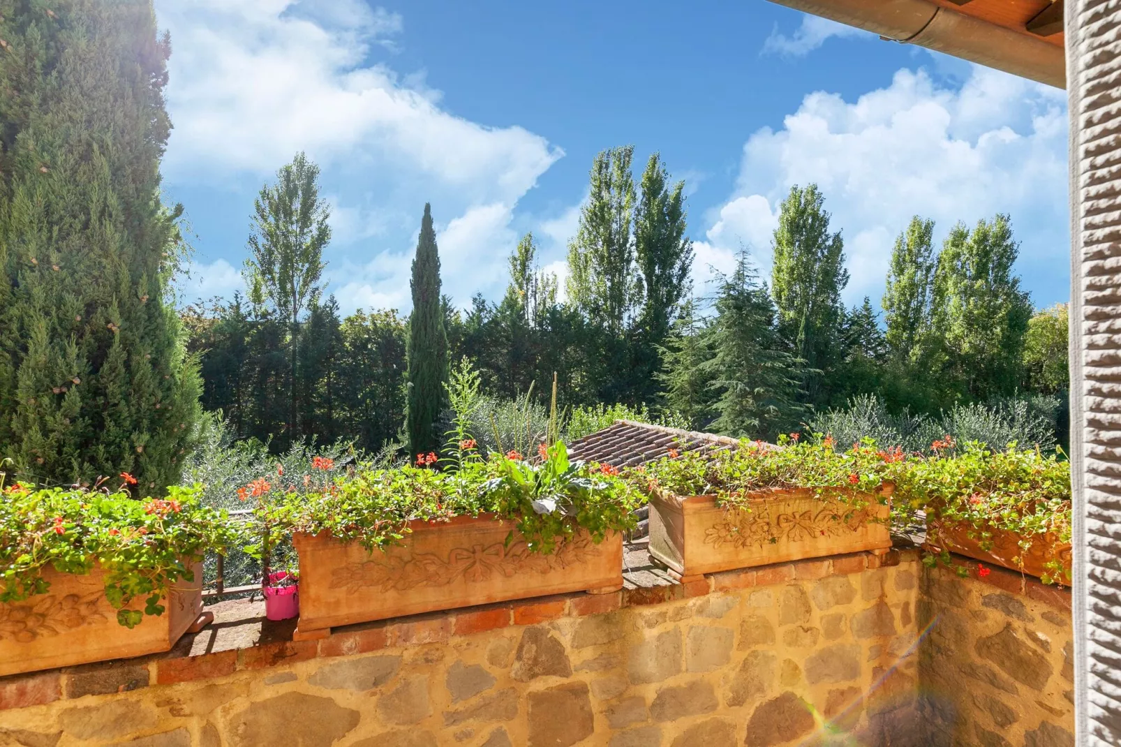 Ippocastano-Terrace balcony