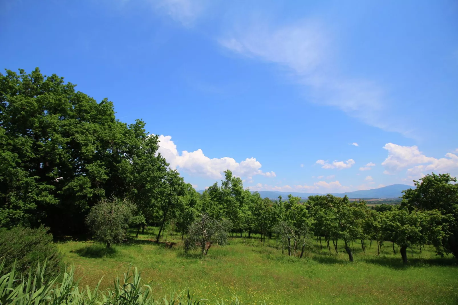 Villa Marcy-Zones d'été à 1 km