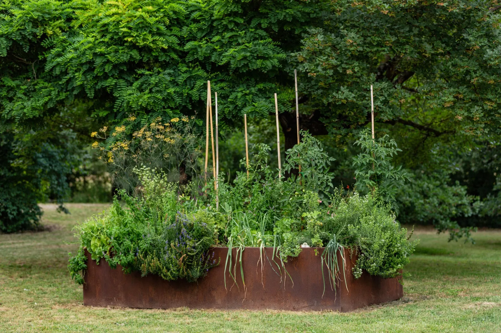 Casa Ilenia-Gardens summer