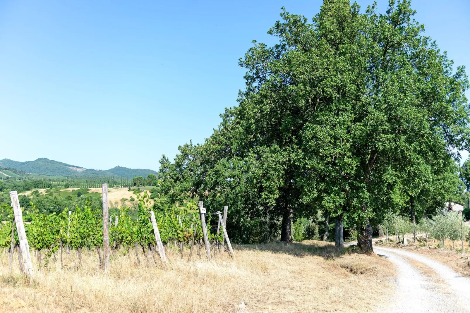Villa  Le Trappoline-Areas summer 5km