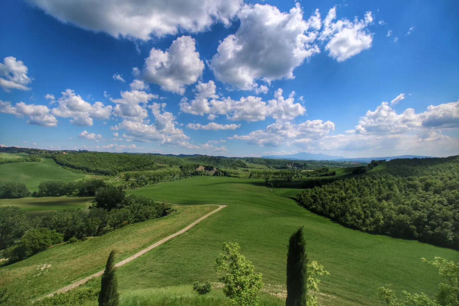 Tilla-View summer