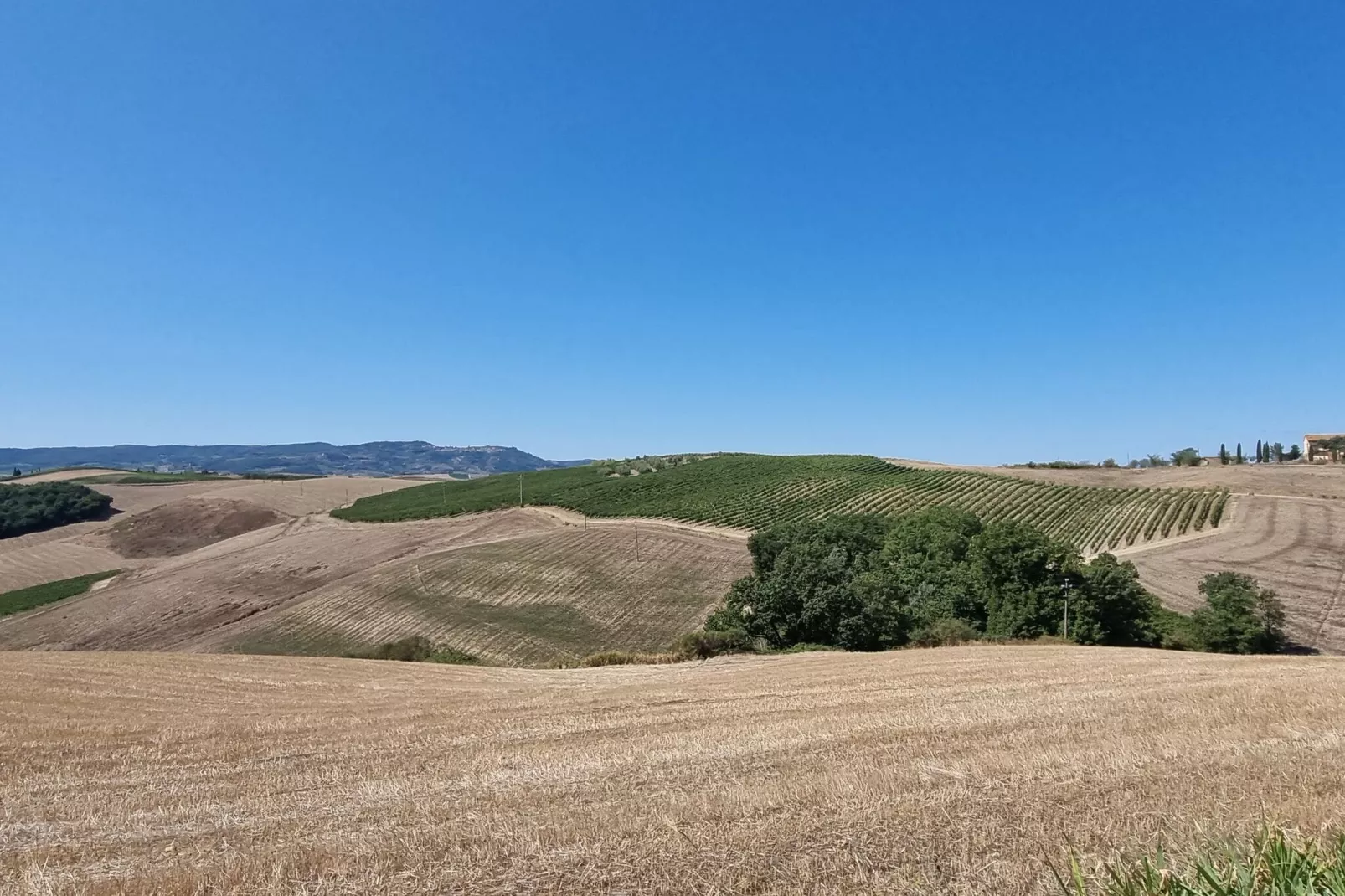 Casanuova di Quercecchio-View summer