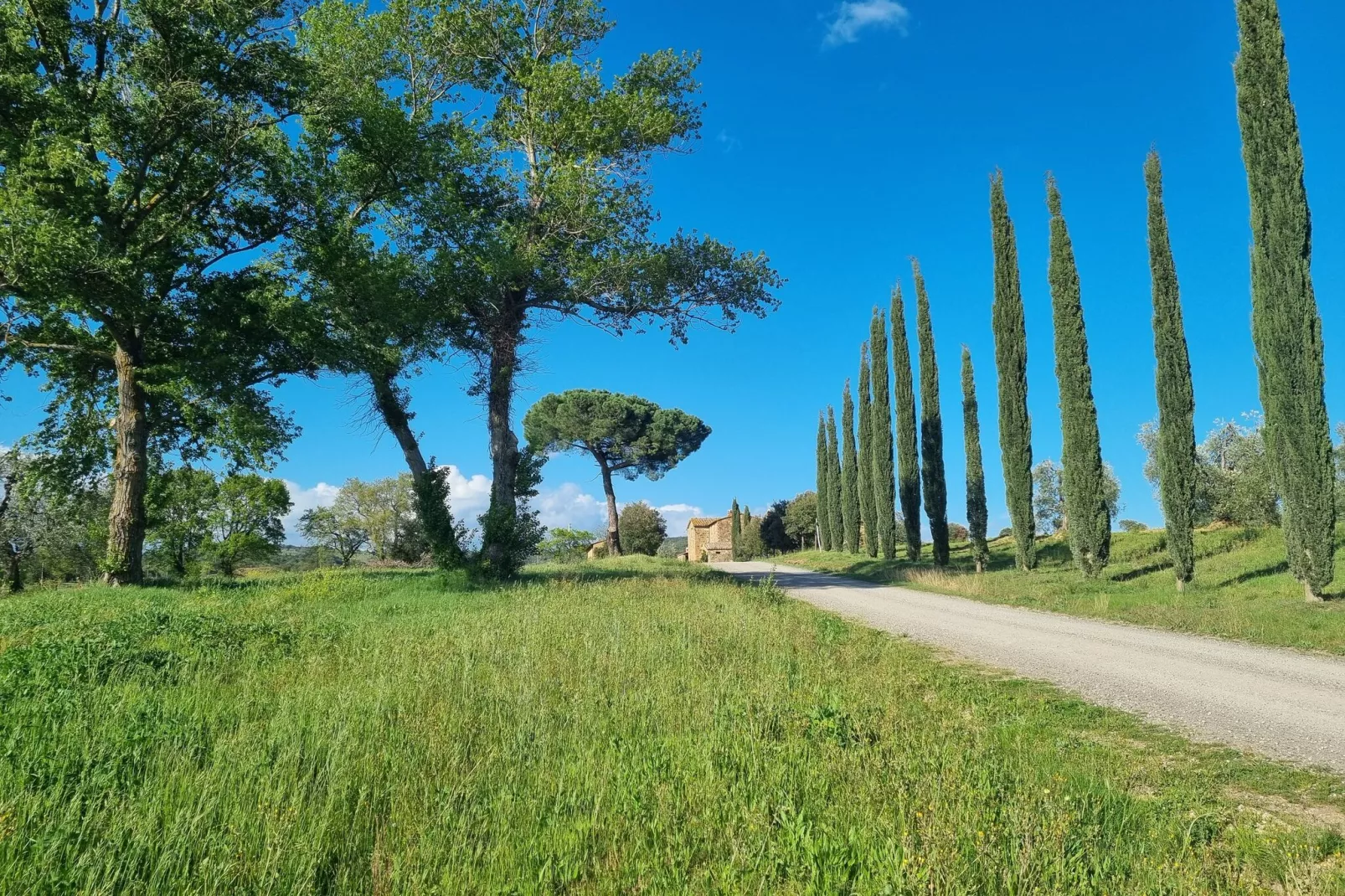 Casanuova di Quercecchio-View summer