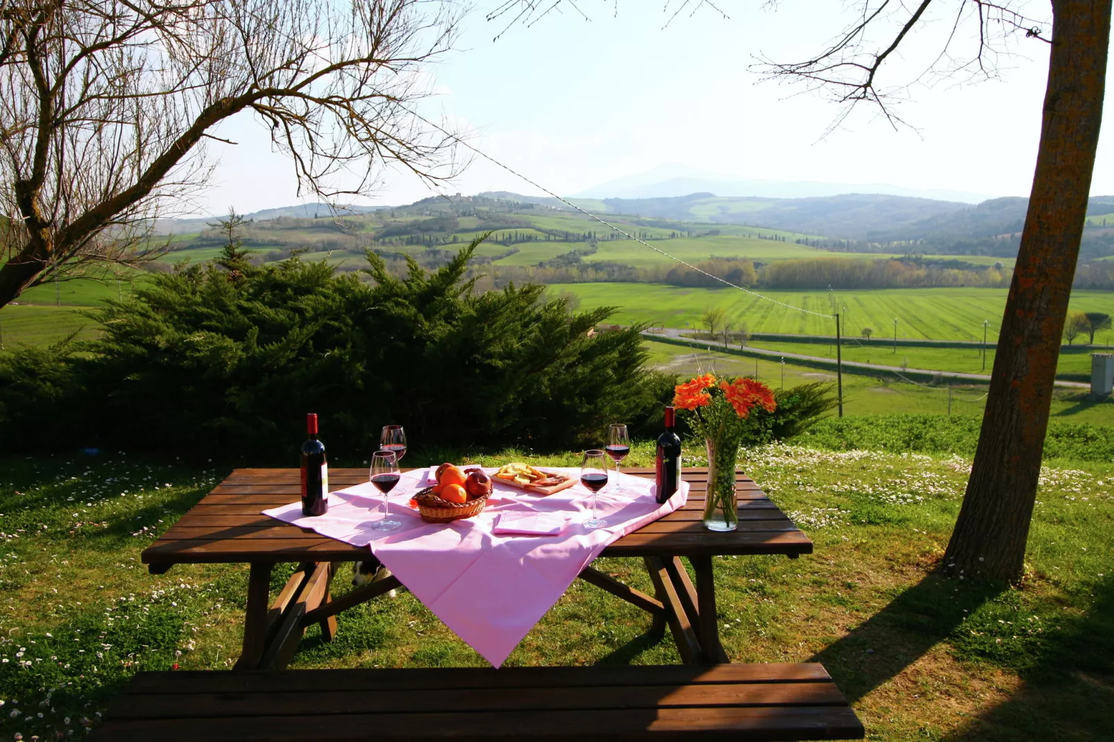 Granaio-Terrasse/Balkon