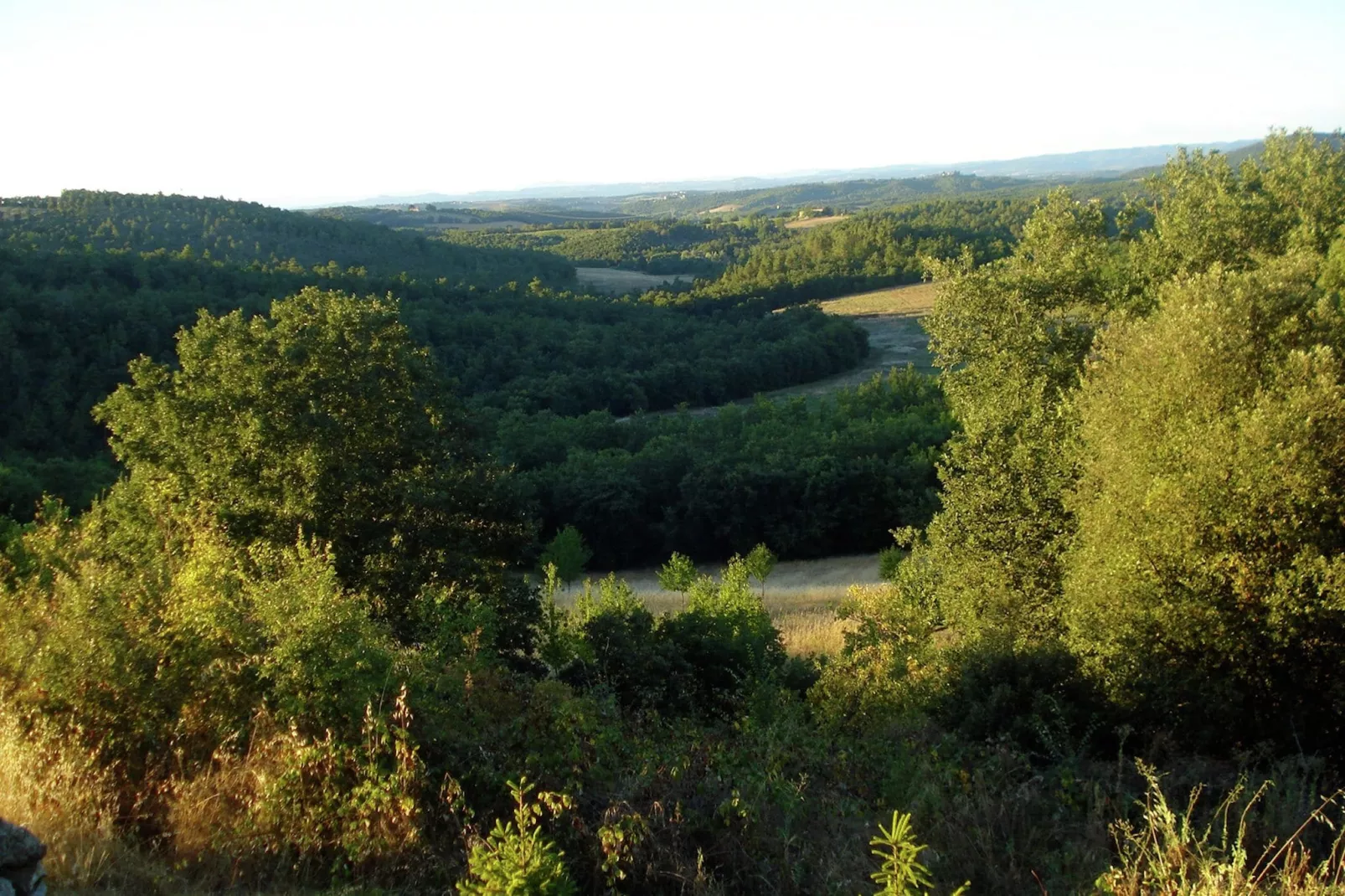 Casole d'Elsa-Aussicht Sommer