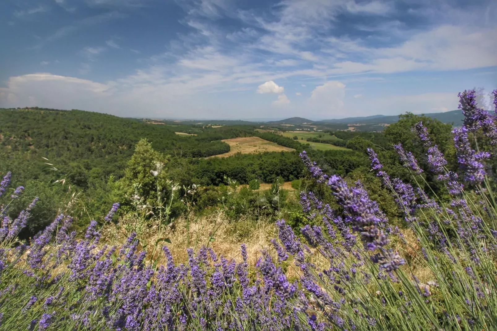 Casole d'Elsa-Aussicht Sommer