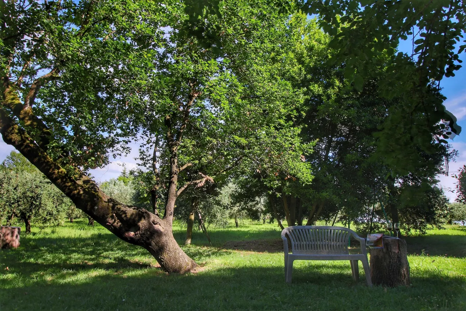 Fienile-Gardens in summer