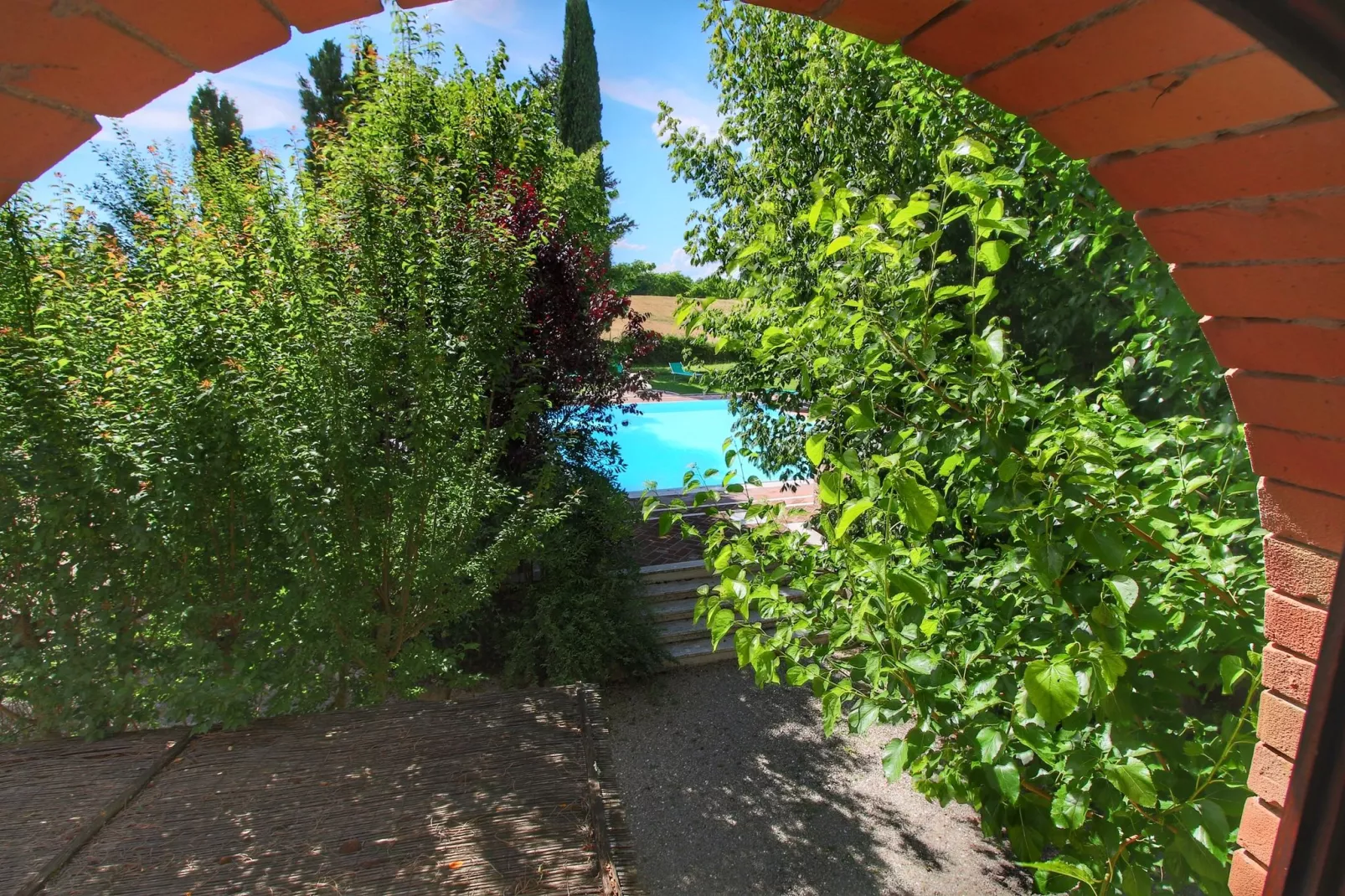 Archi-View in summer