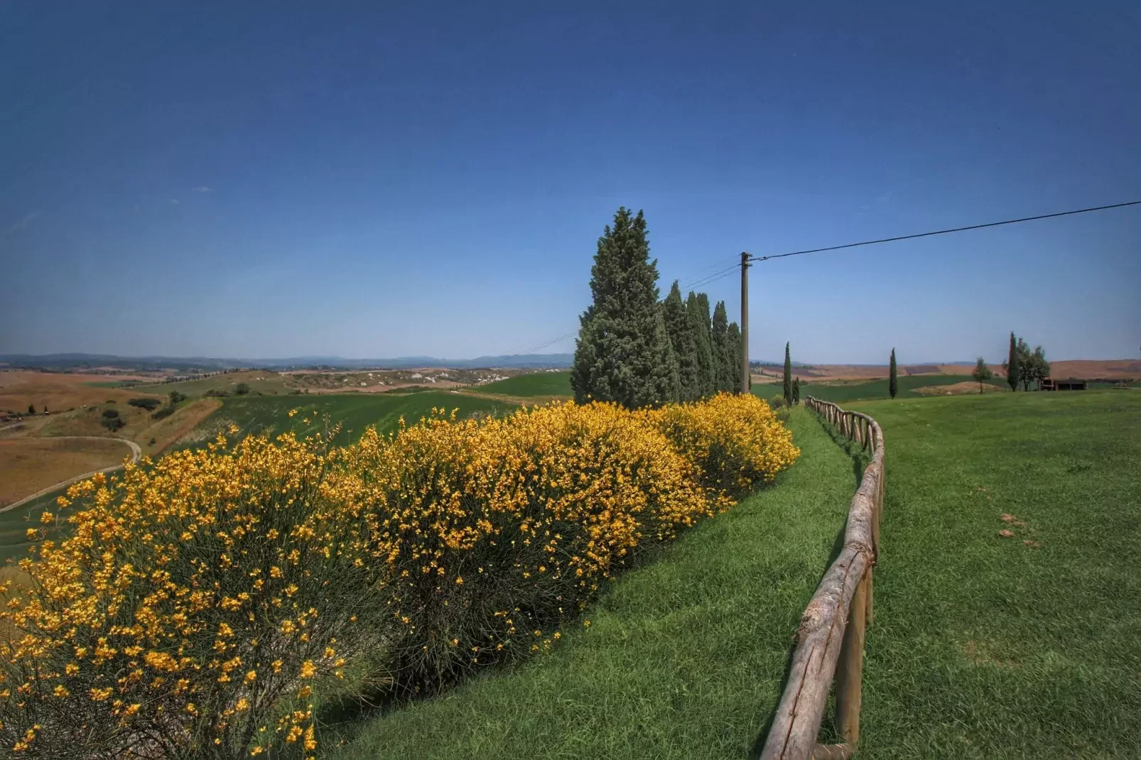 Arbia-Gardens summer