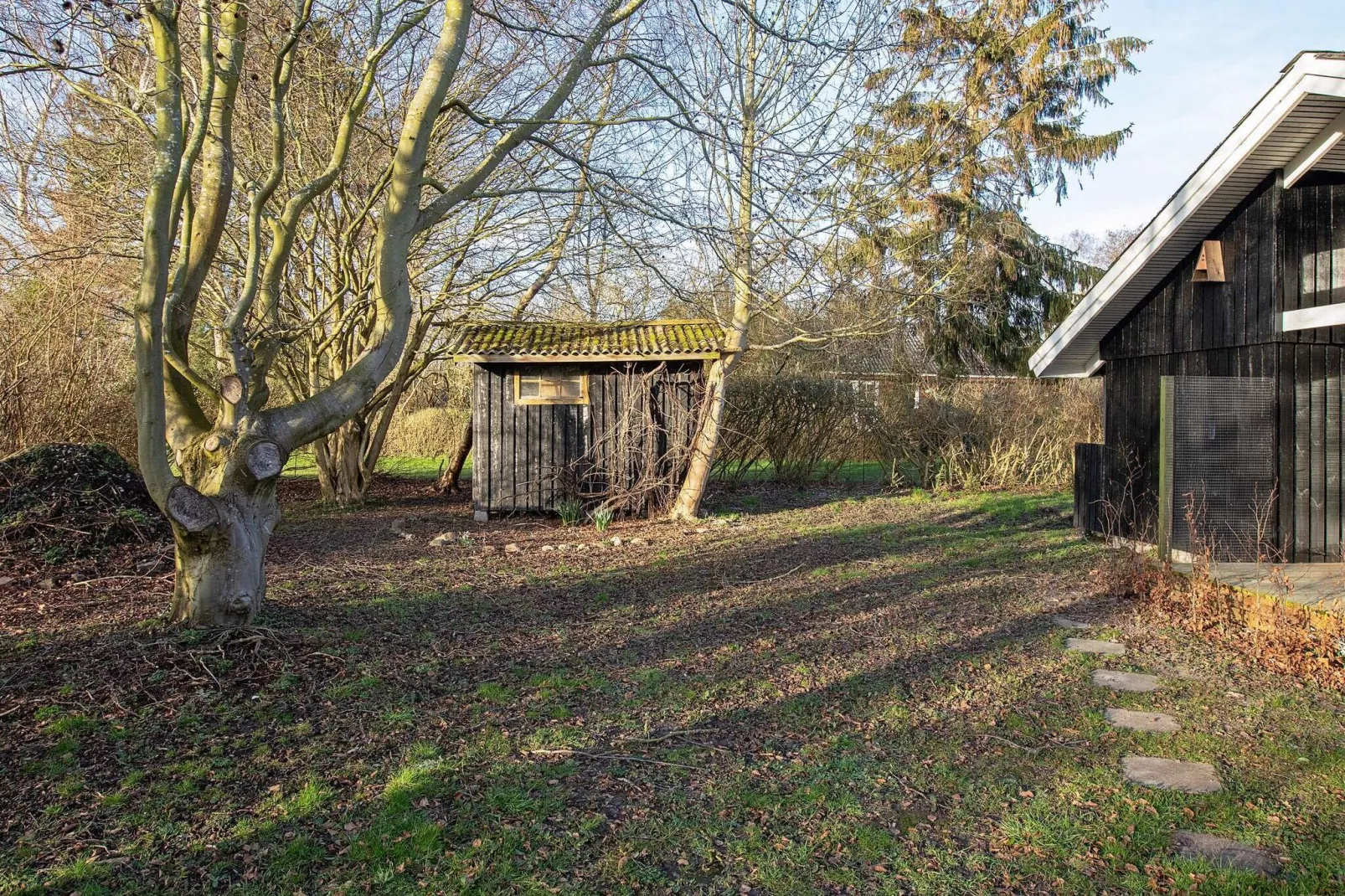Meereszauber in Boged-By Traum