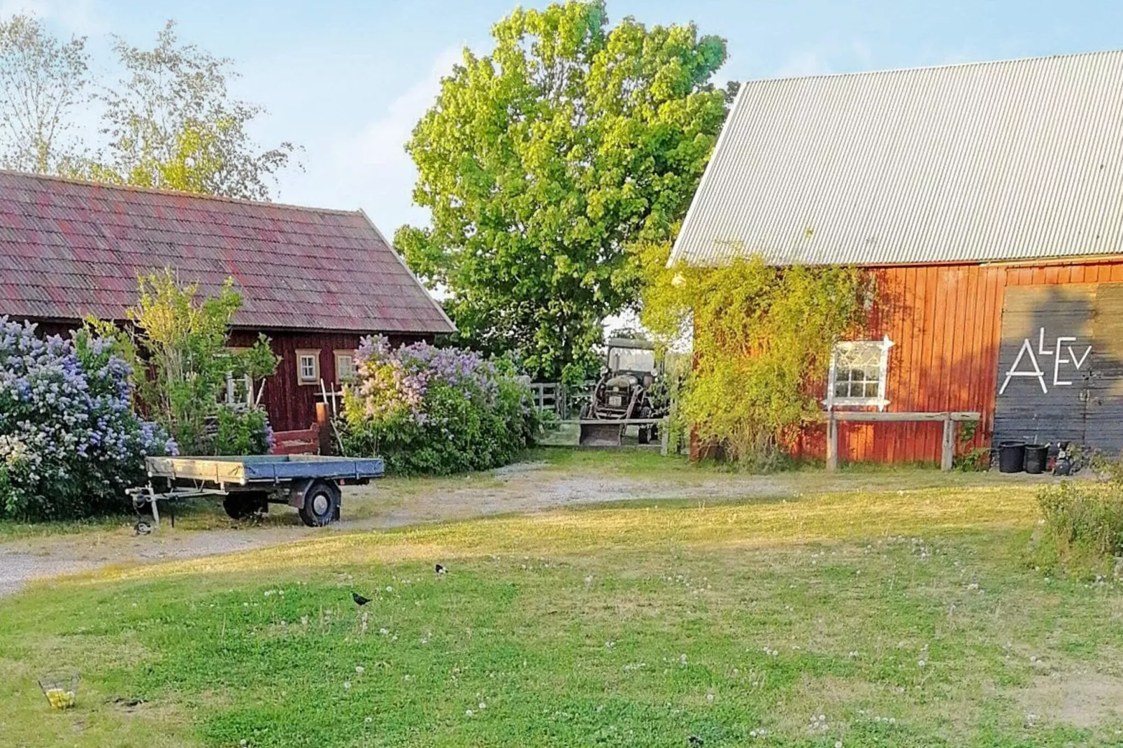 8 person holiday home in GOTLANDS.TOFTA-Outdoor