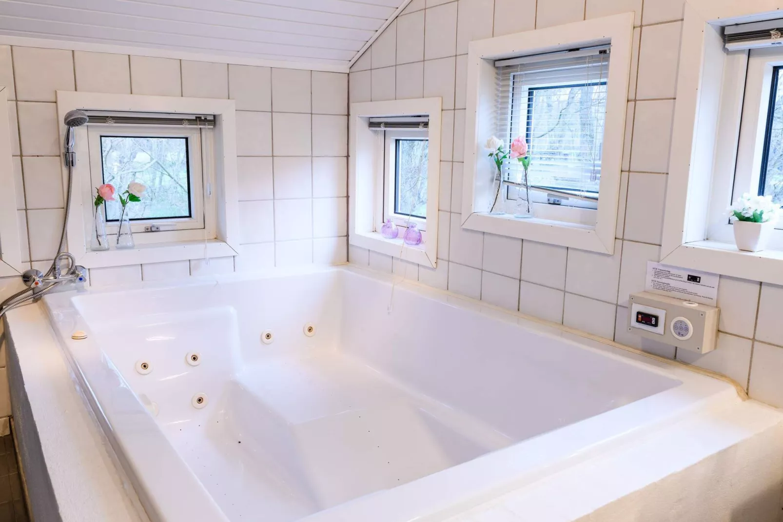 6 Personen Ferienhaus in Fanø-Wellnessbereich