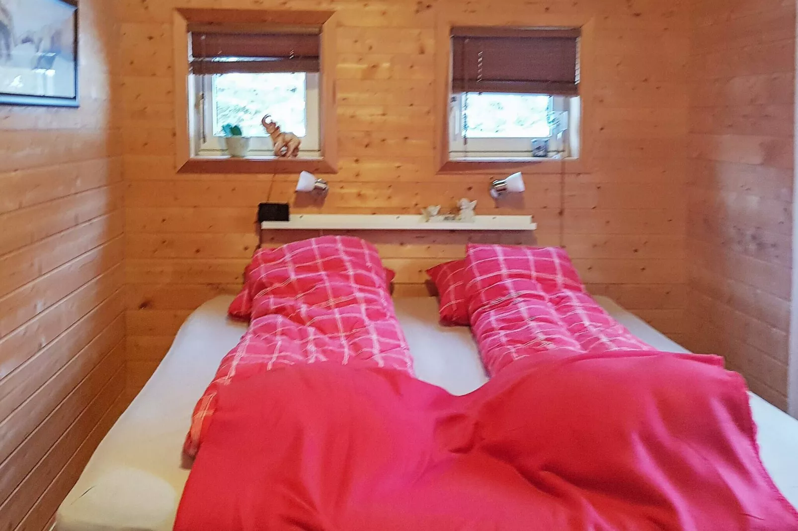 56764 - HAUGEN-Indoor