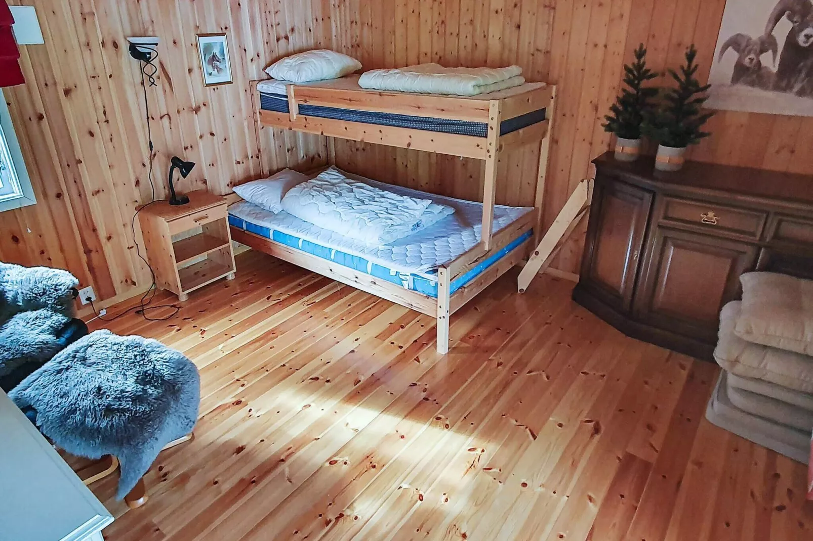 56764 - HAUGEN-Indoor