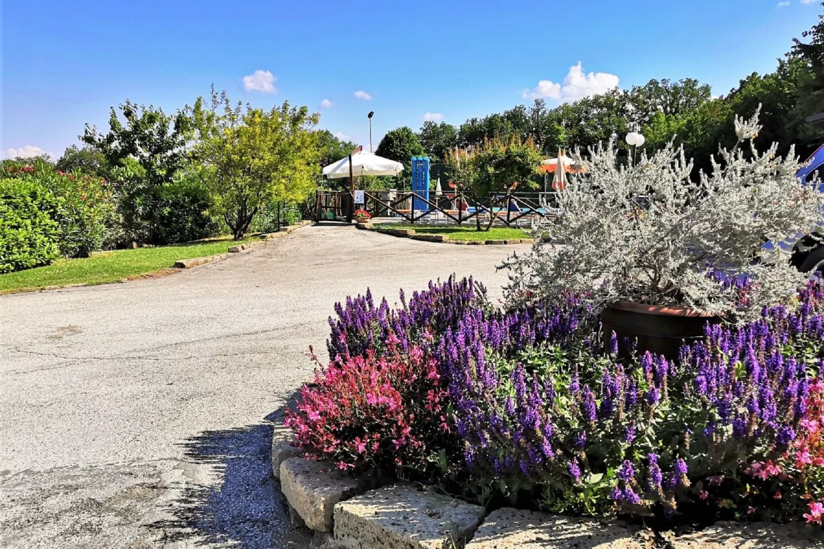Villa i Girasoli Venti-Exterior summer