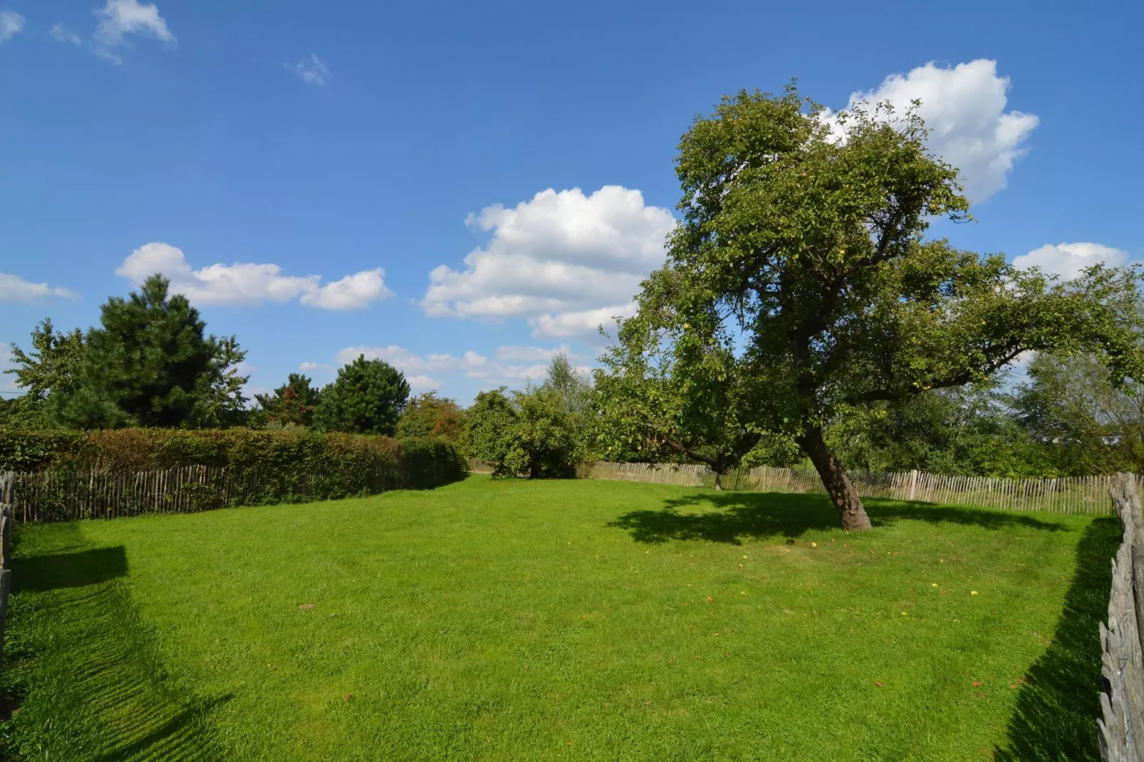 La Grande Bleue-View summer
