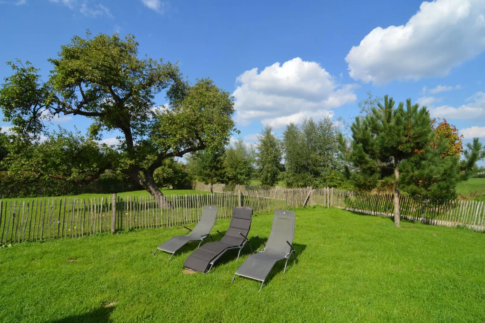 La Grande Bleue-Gardens summer