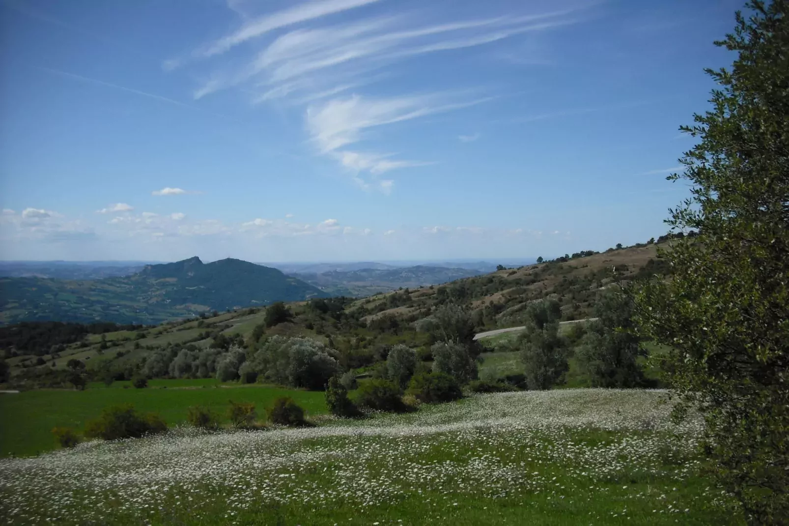 Allegria-View summer
