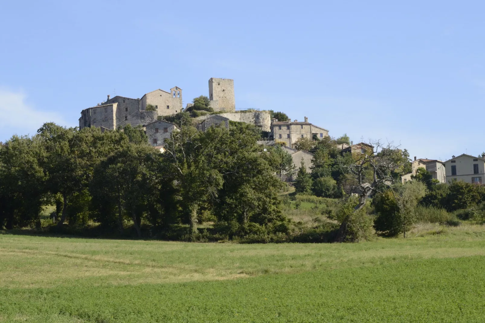 Allegria-Areas summer 1km