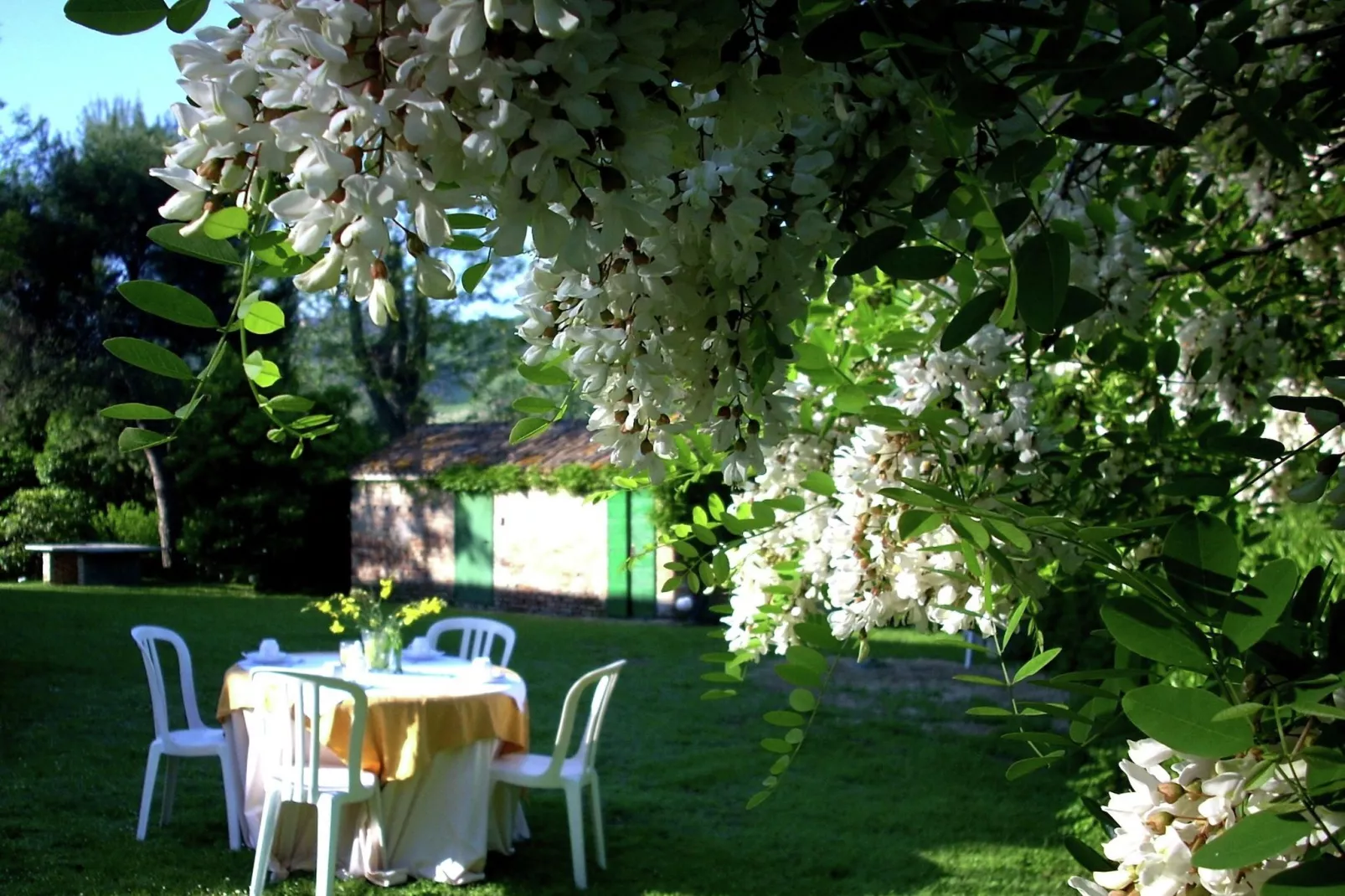 Villa Metauro-Gardens summer