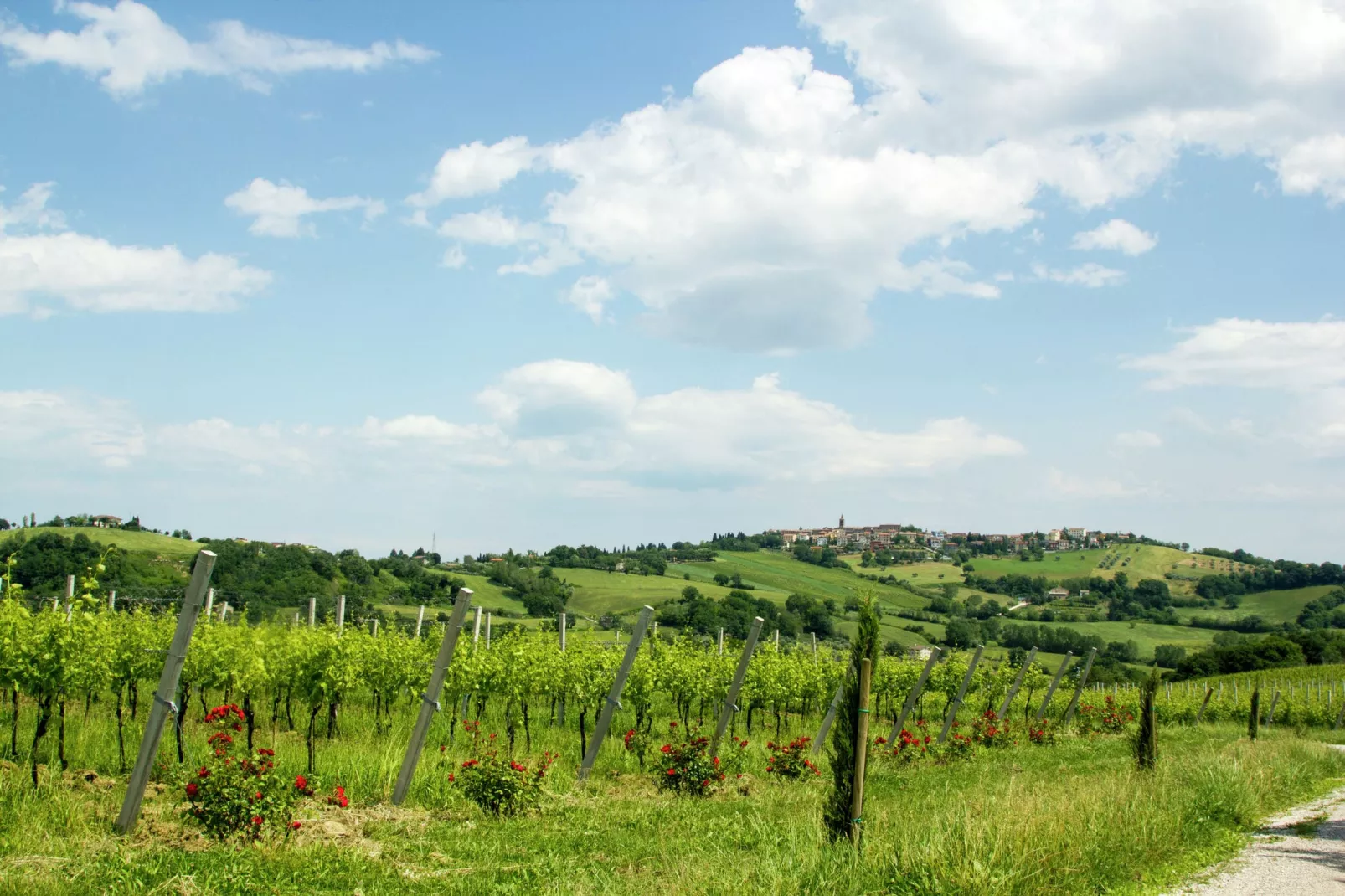 Villa Fiorini-Jardin d'été