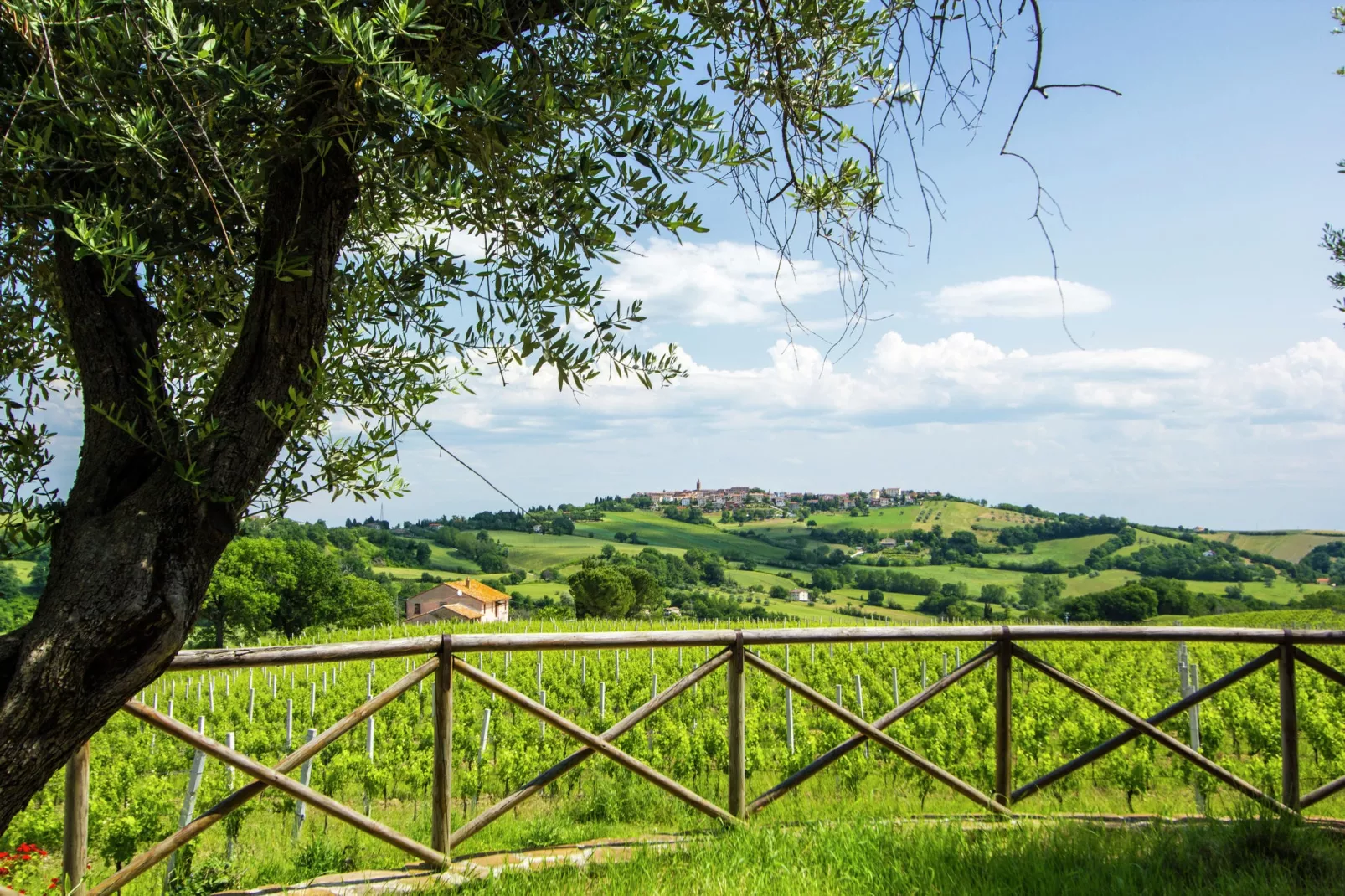 Villa Fiorini-Vue d'été
