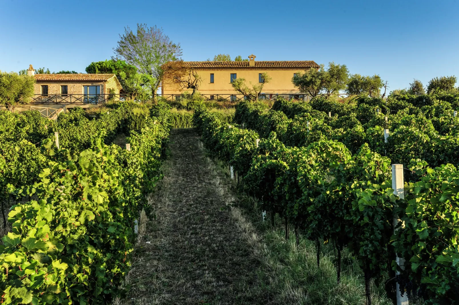 Villa Fiorini-Zones d'été à 1 km