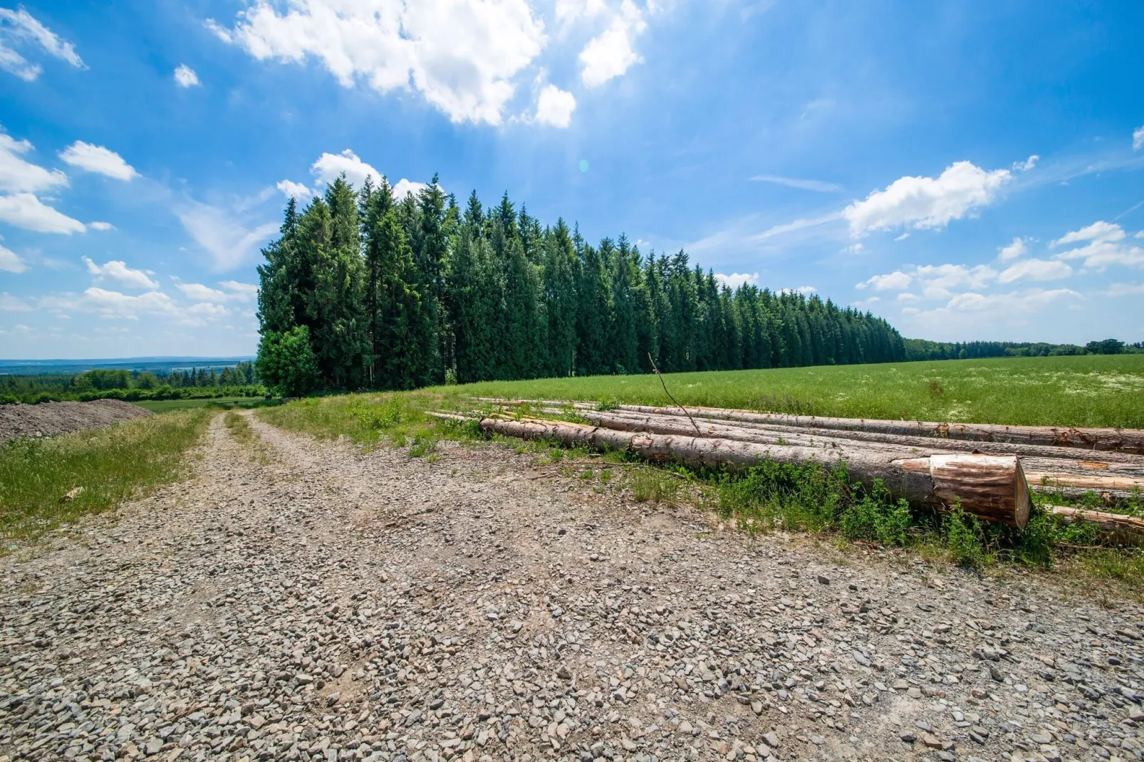 Le MH 13-Areas summer 1km