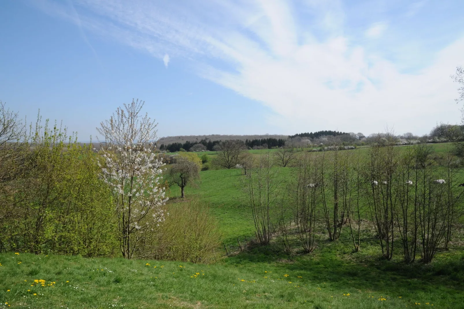 La Récréation-Aussicht Sommer