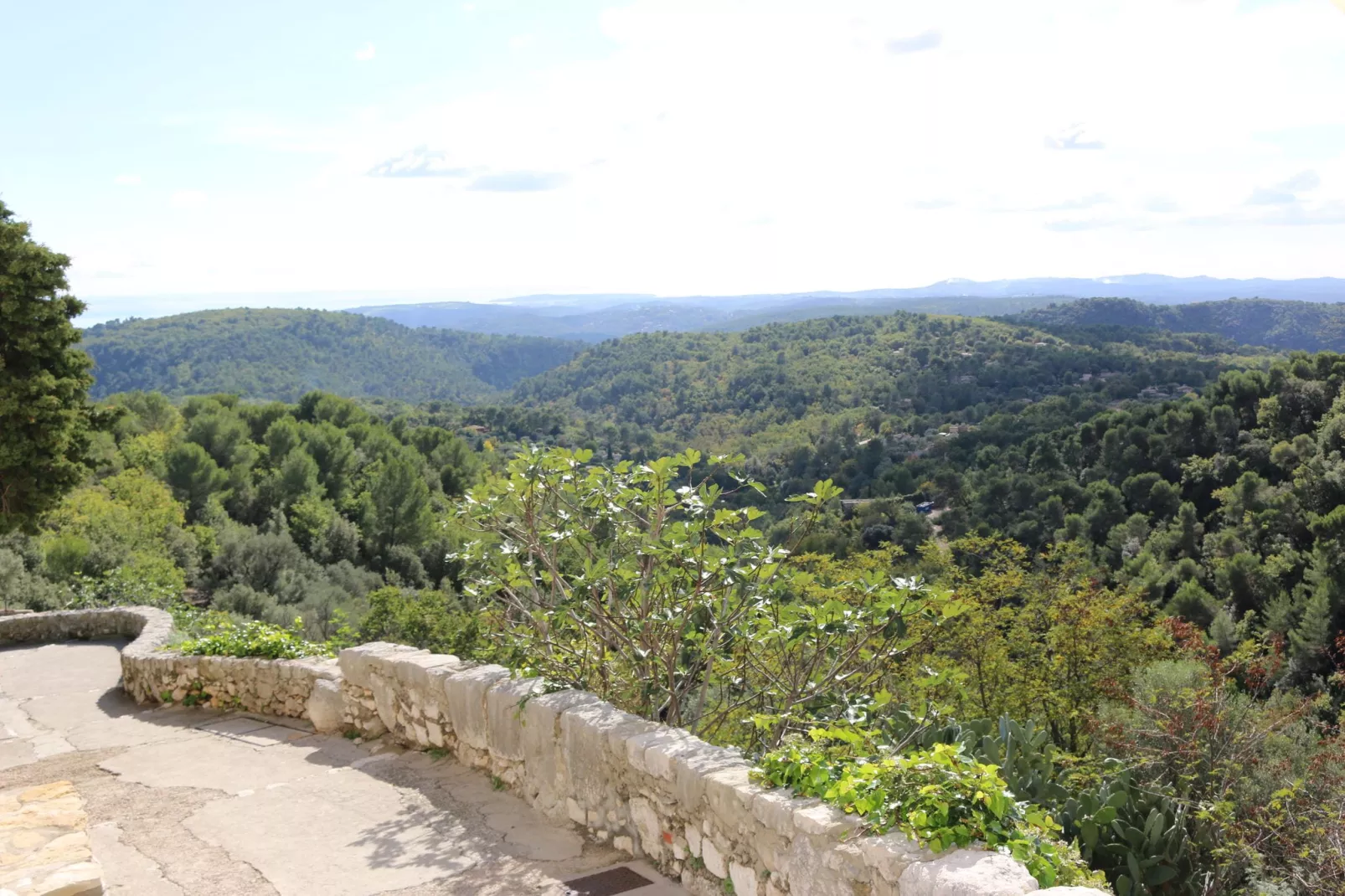 Residence Vence 4-Areas summer 5km