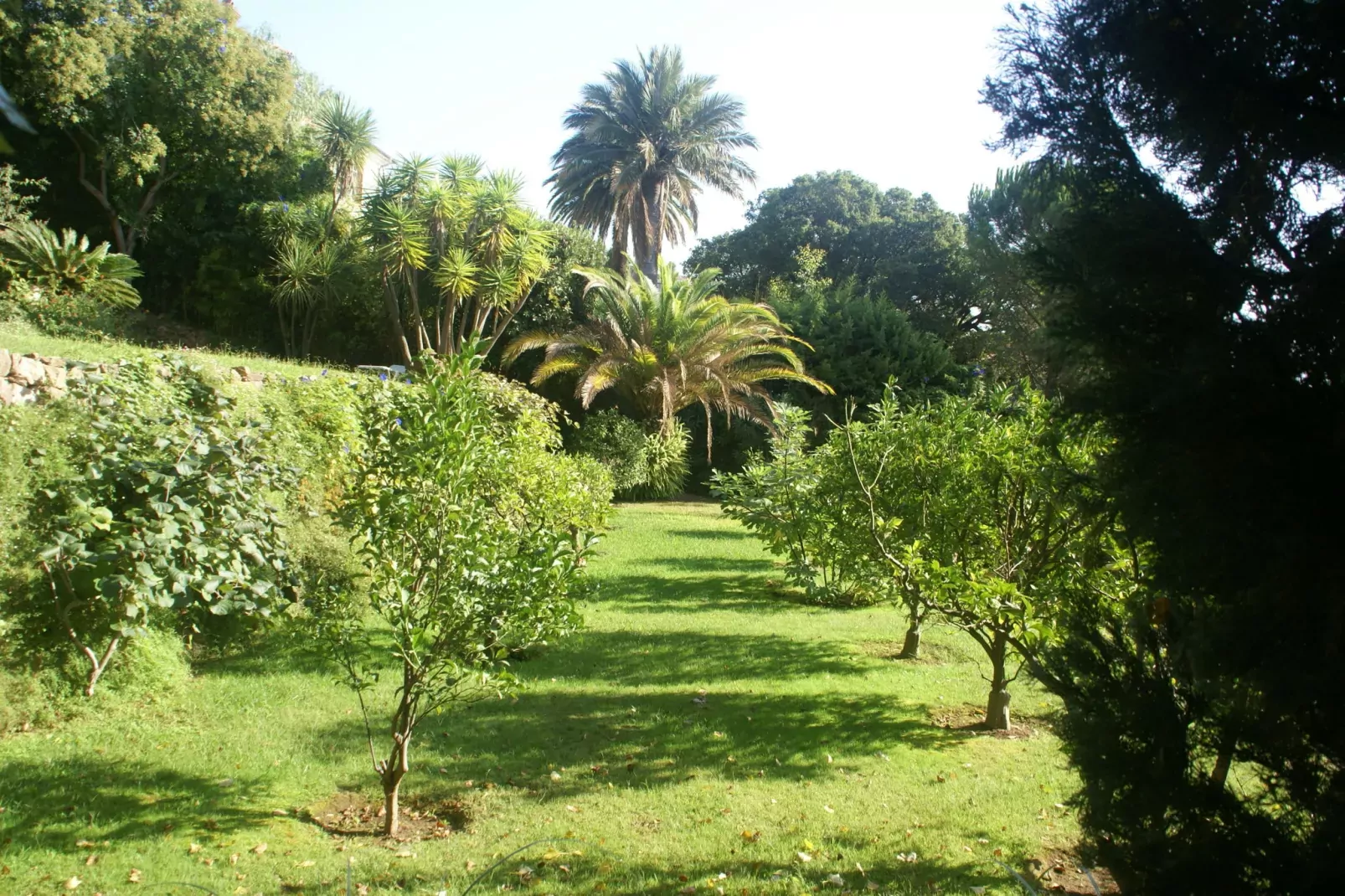 Vue mer-Gardens summer