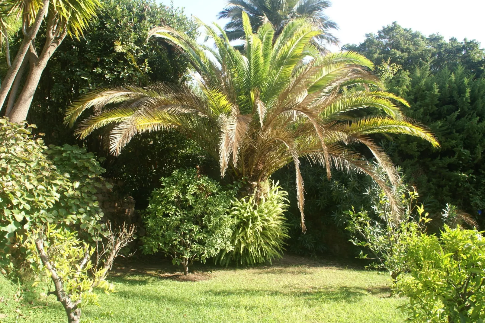 Vue mer-Gardens summer