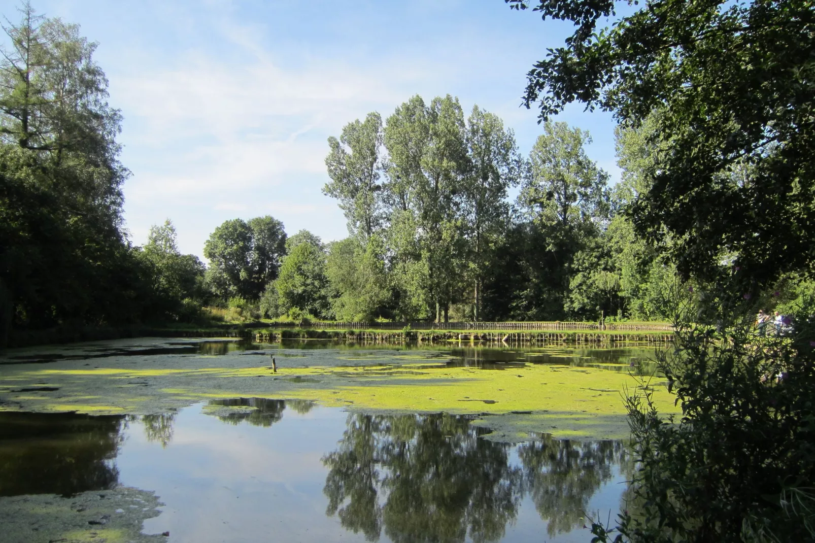 Les Peupliers de la pecherie-Gardens summer