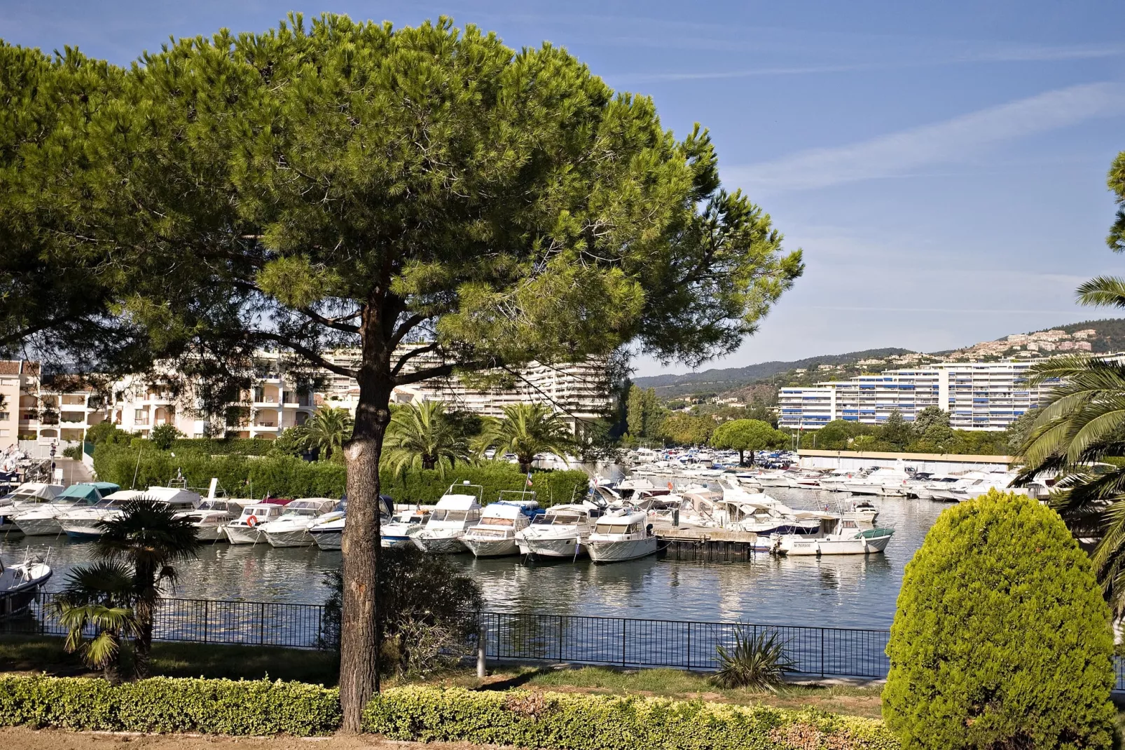 Carré Marine 1-Vue d'été
