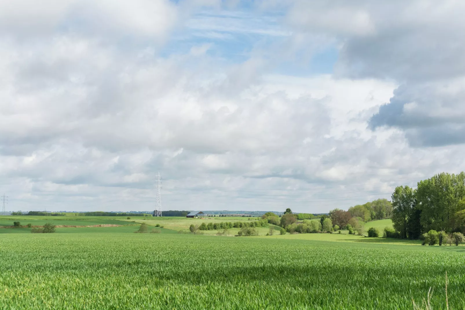 La Rose-Gebiete Sommer 1 km