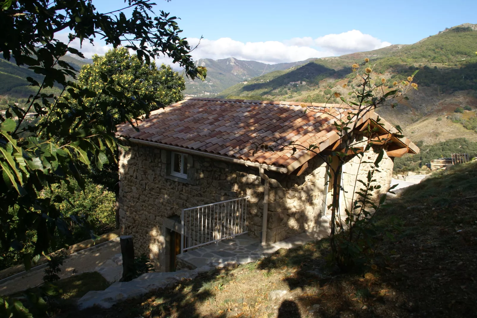 Maison de vacances - Saint-Pierre-de-Colombier-Außenbereich Sommer