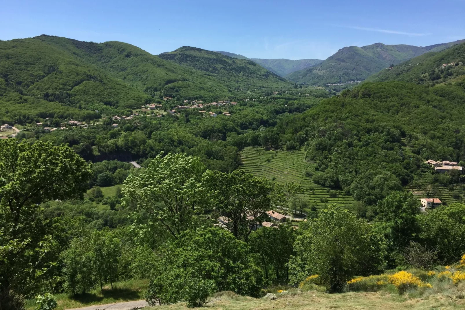 Maison de vacances - Saint-Pierre-de-Colombier-Aussicht Sommer