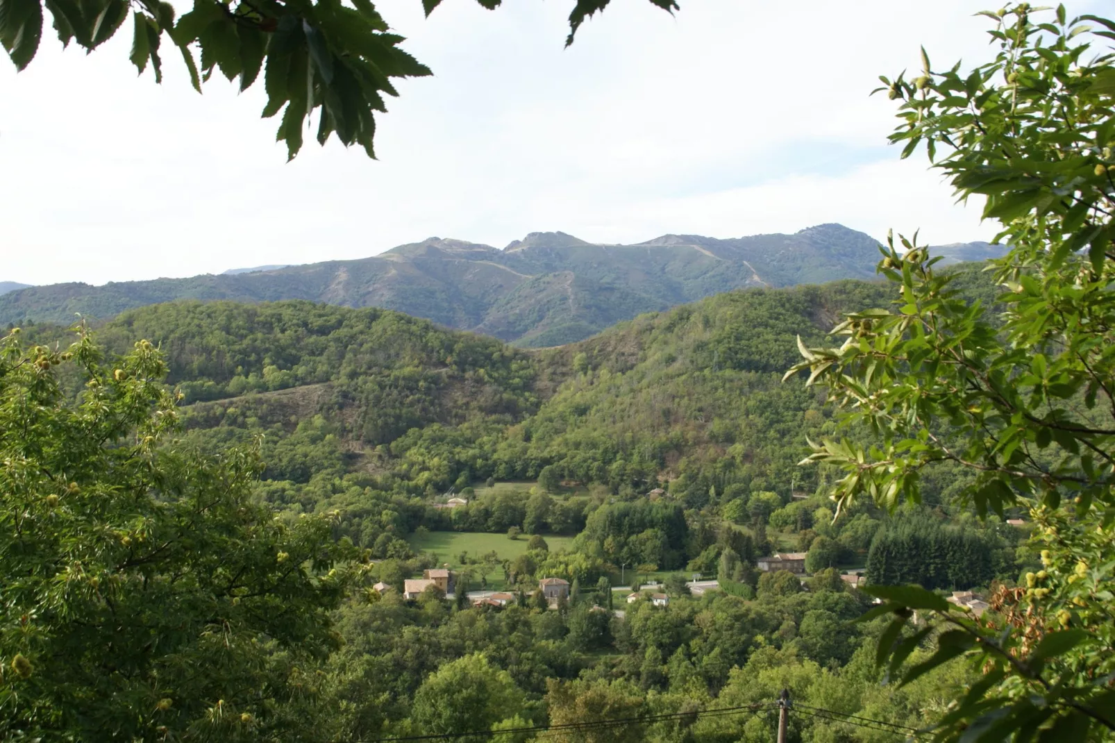 Maison de vacances - Saint-Pierre-de-Colombier-Aussicht Sommer