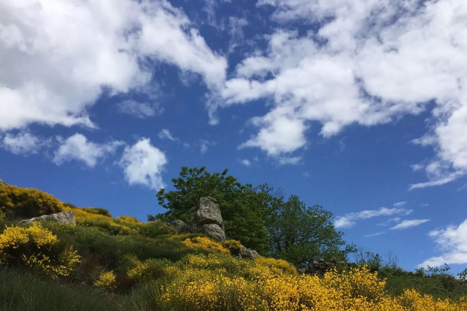 Maison de vacances - Saint-Pierre-de-Colombier-Aussicht Sommer
