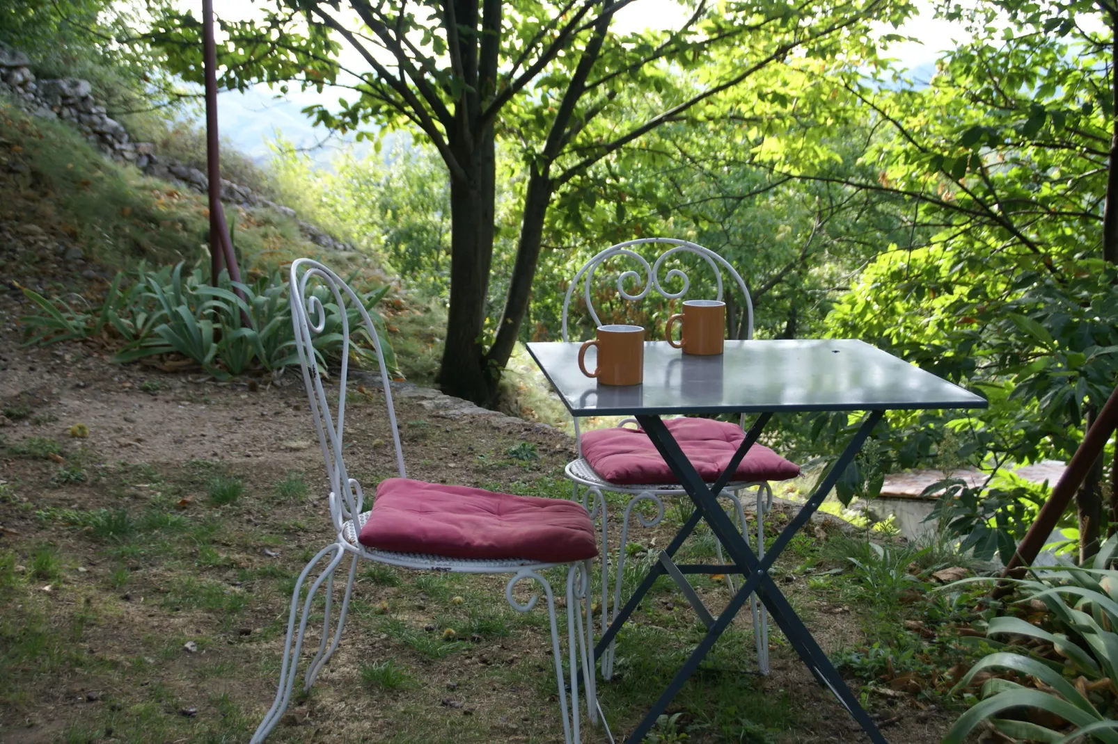 Maison de vacances - Saint-Pierre-de-Colombier-Terrassenbalkon