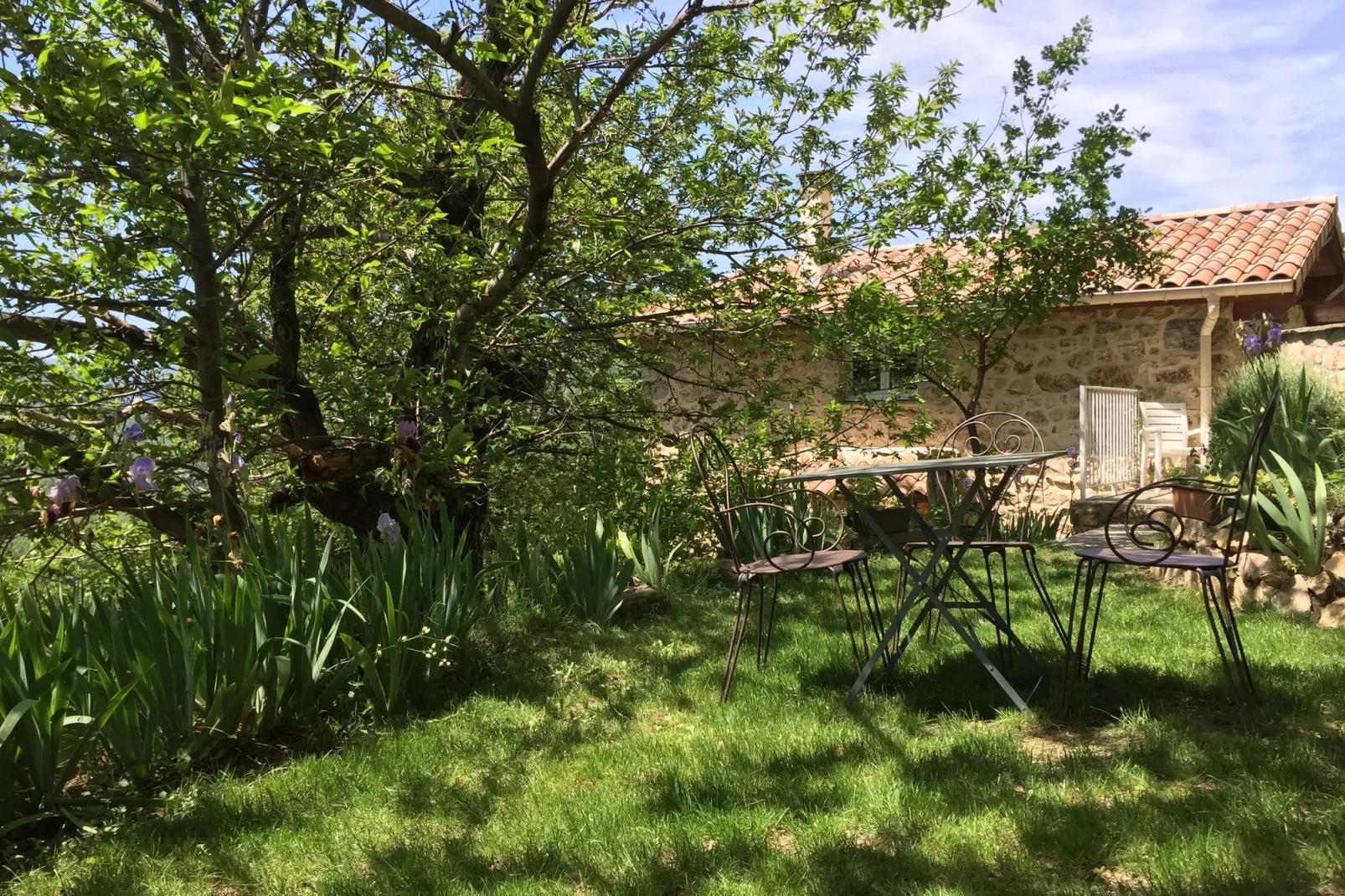 Maison de vacances - Saint-Pierre-de-Colombier-Gärten Sommer