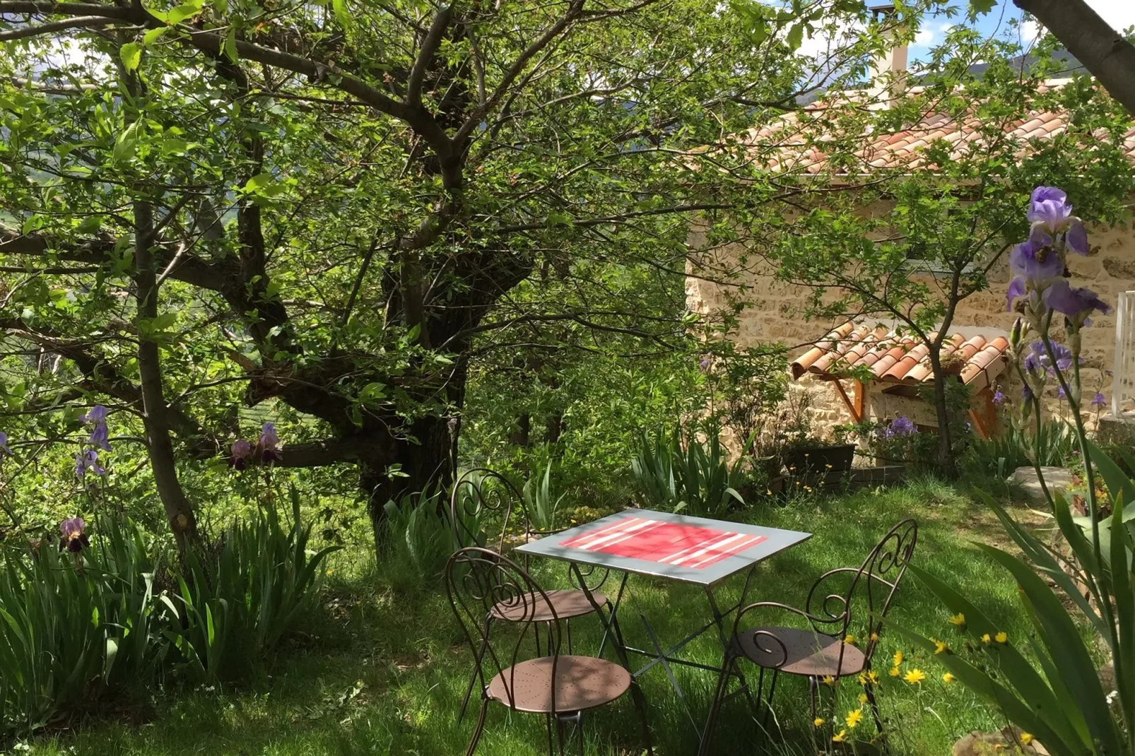 Maison de vacances - Saint-Pierre-de-Colombier-Gärten Sommer