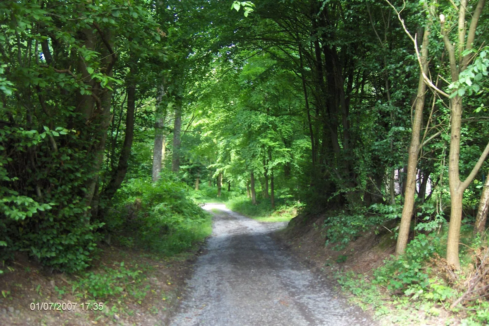 Les Sittelles-Gebiete Sommer 1 km