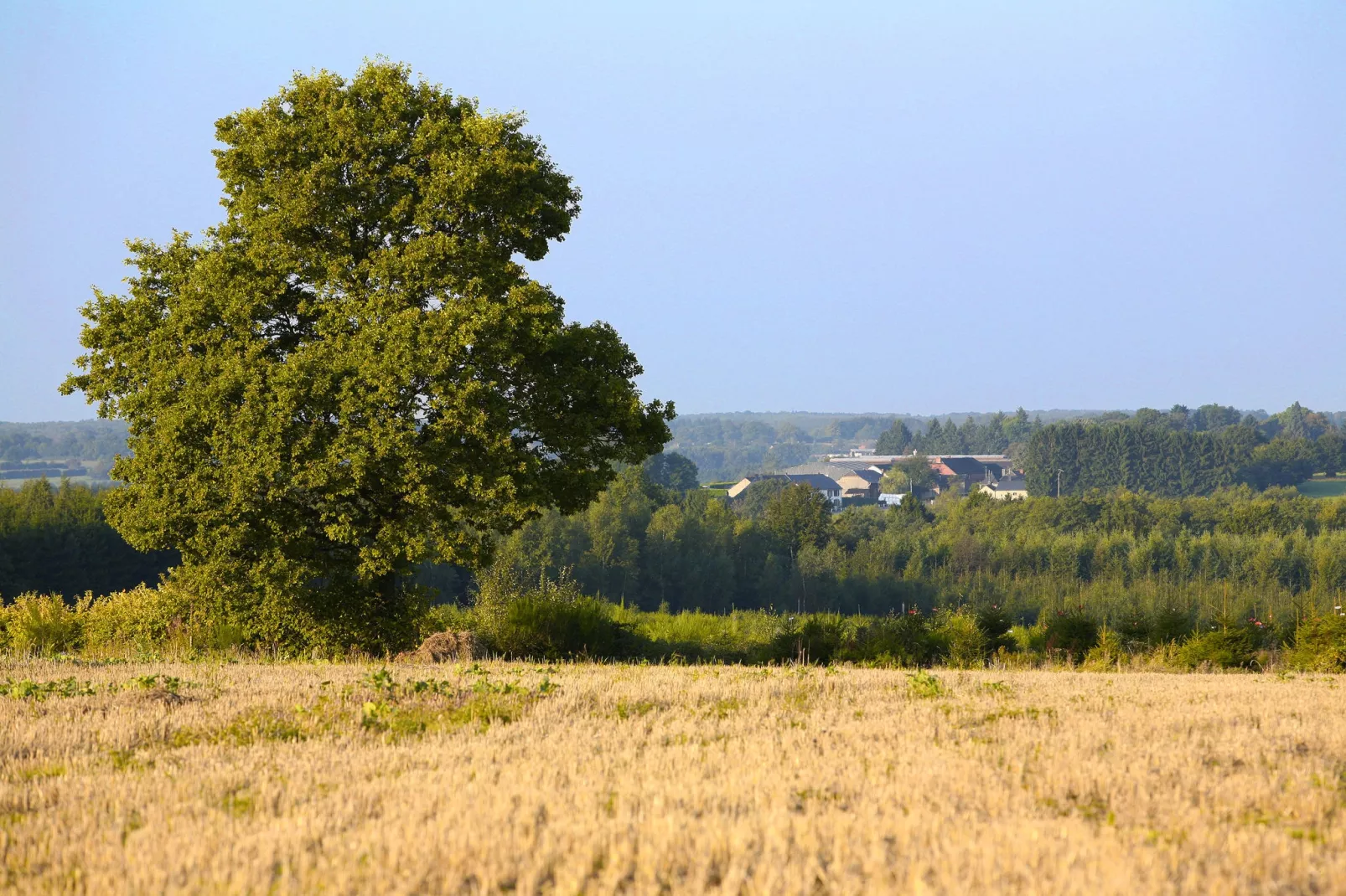 Les Sittelles-Gebiete Sommer 1 km