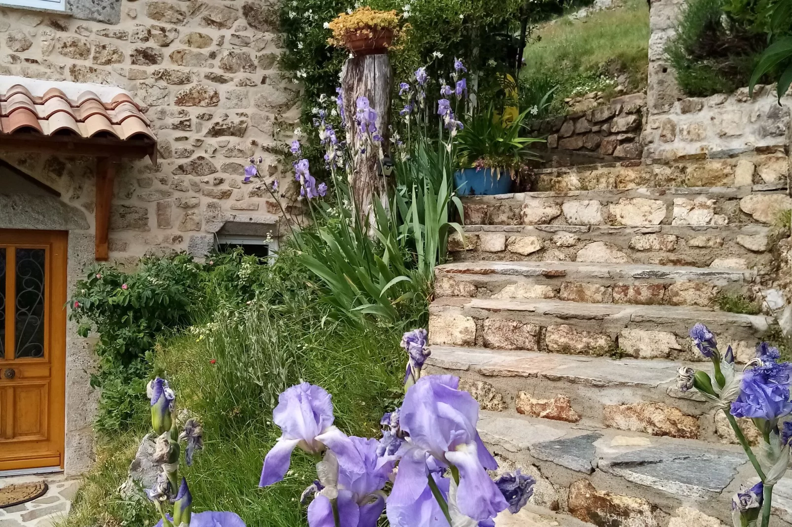 Maison de vacances - Saint-Pierre-de-Colombier-Außenbereich Sommer