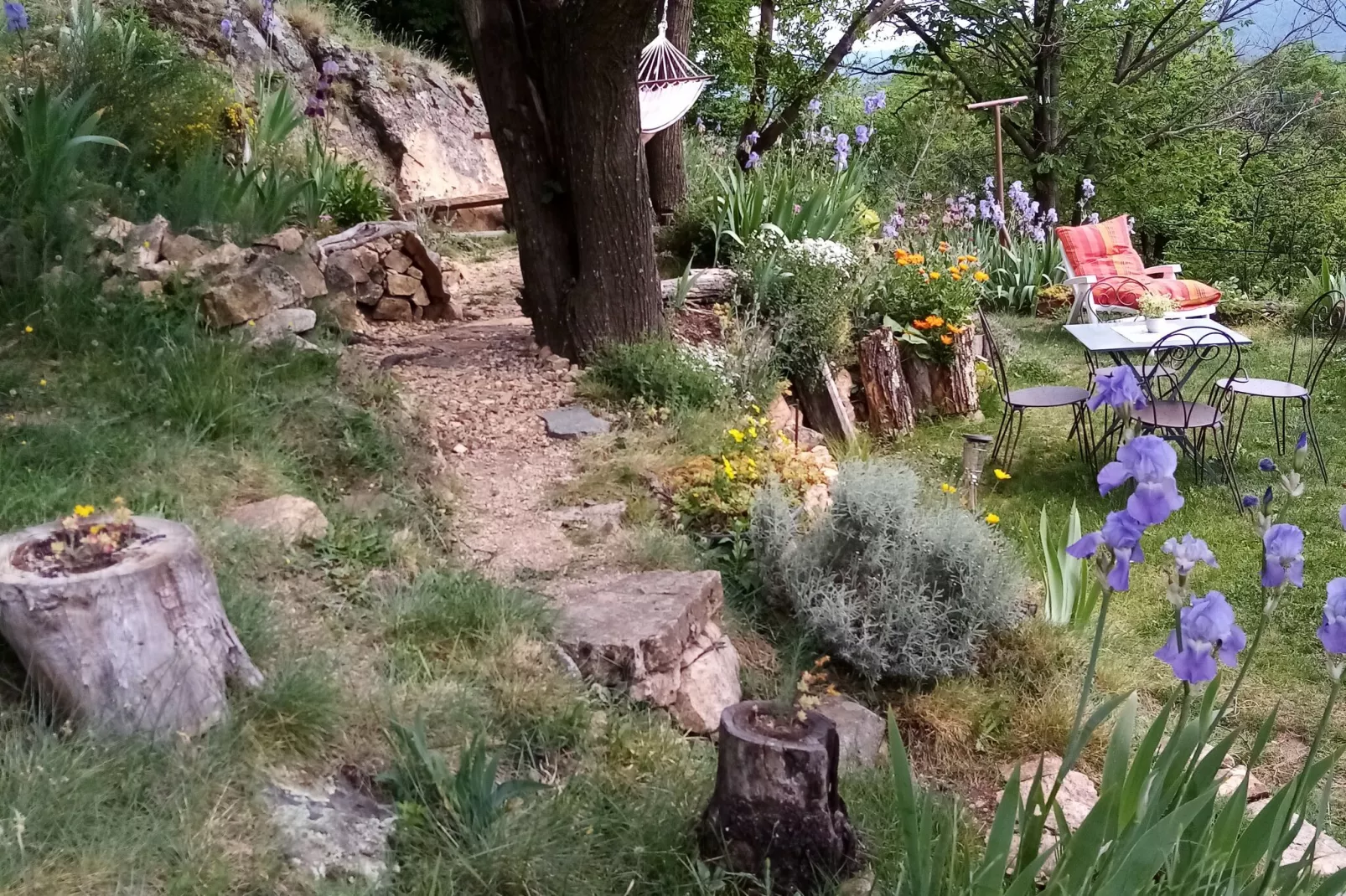 Maison de vacances - Saint-Pierre-de-Colombier-Außenbereich Sommer