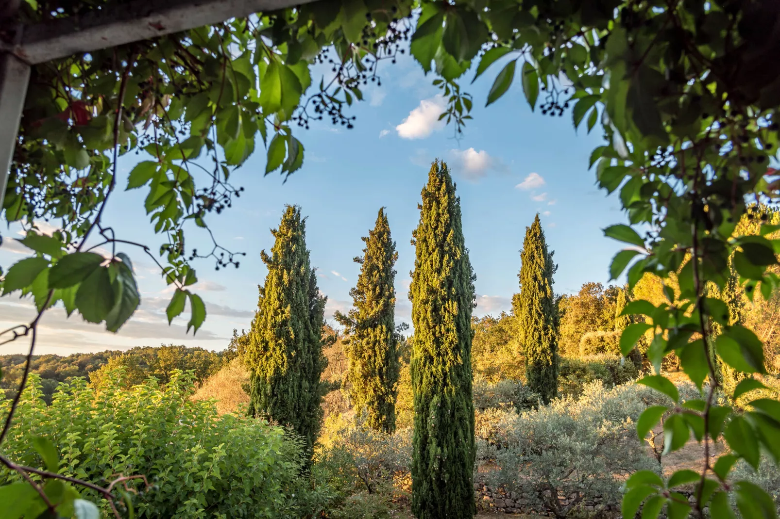 VILLA GRANGE-View summer